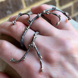 Lisa A Markowitz - Growth