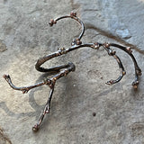 Lisa A Markowitz - Growth