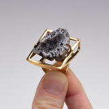 Mica Frisch - Framing Nature