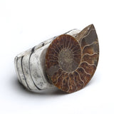 Amy Hsieh - Caveman Bling