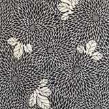 Dana Cassara - Meditation Chrysanthemum