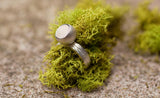 Fairy Cup Sterling Silver Ring on Wood Printed Band