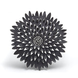 Dana Cassara - Meditation Chrysanthemum