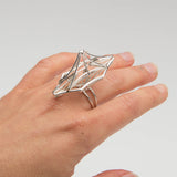 Jennifer Surine - Iceburg