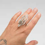 Jennifer Surine - Iceburg