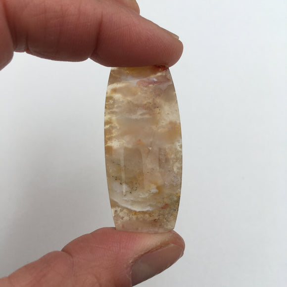 Graveyard Point Plume Agate