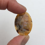 Graveyard Point Plume Agate