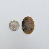 Graveyard Point Plume Agate