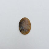 Graveyard Point Plume Agate