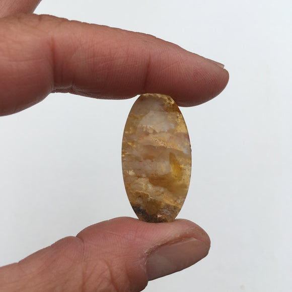 Graveyard Point Plume Agate