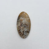 Graveyard Point Plume Agate