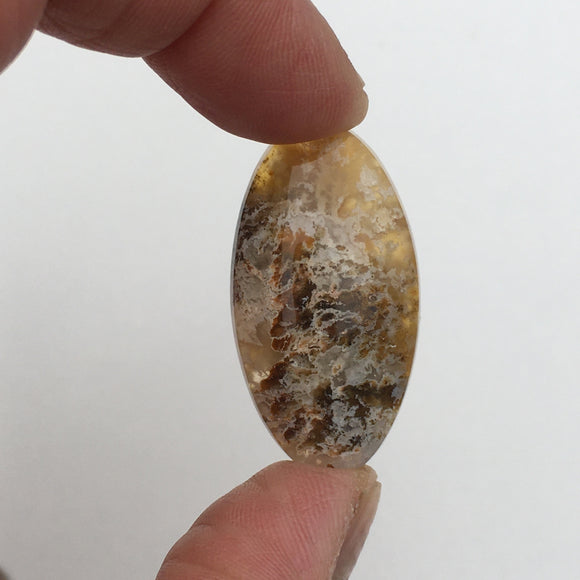 Graveyard Point Plume Agate