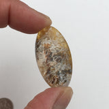 Graveyard Point Plume Agate