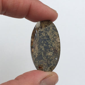 Mossy Agate