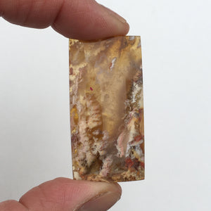 Graveyard Point Plume Agate