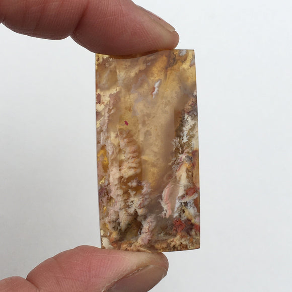 Graveyard Point Plume Agate