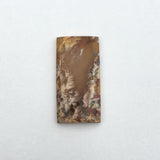 Graveyard Point Plume Agate