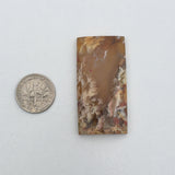 Graveyard Point Plume Agate