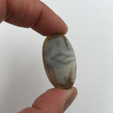 Porceline Jasper