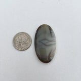 Porceline Jasper