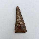 Owyhee Jasper
