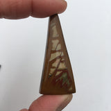 Owyhee Jasper