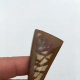 Owyhee Jasper