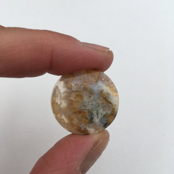 Graveyard Point Plume Agate