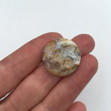 Graveyard Point Plume Agate