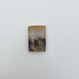 Graveyard Point Plume Agate