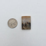 Graveyard Point Plume Agate