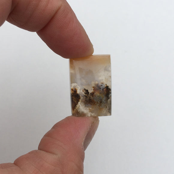Graveyard Point Plume Agate