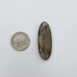 Mossy Agate