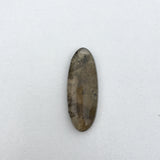 Mossy Agate