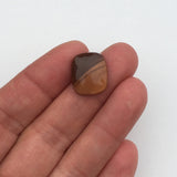 Bruneau Jasper