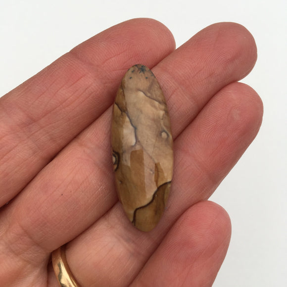 Biggs Picture Jasper