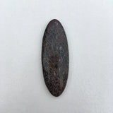 Petrified Dinosour Bone