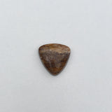 Petrified Wood