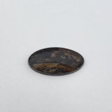 Petrified Wood