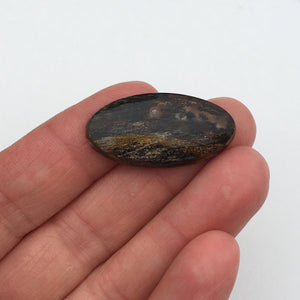 Petrified Wood