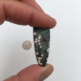 Orbicular Ocean Jasper