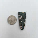 Orbicular Ocean Jasper