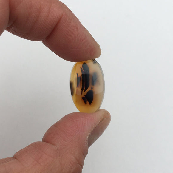 Montana Agate