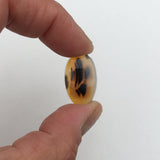 Montana Agate