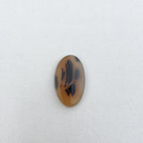 Montana Agate