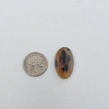 Montana Agate