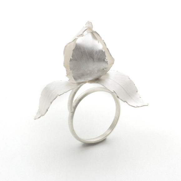 Lisa Markowitz - Iris