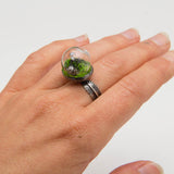 Shino Posey - Northwest Spring