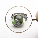 Shino Posey - Northwest Spring